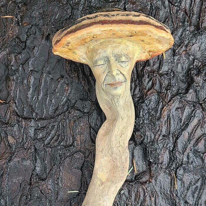 Esculturas feitas com madeira revelam rostos e emoções escondidos na própria natureza (29 fotos) 4