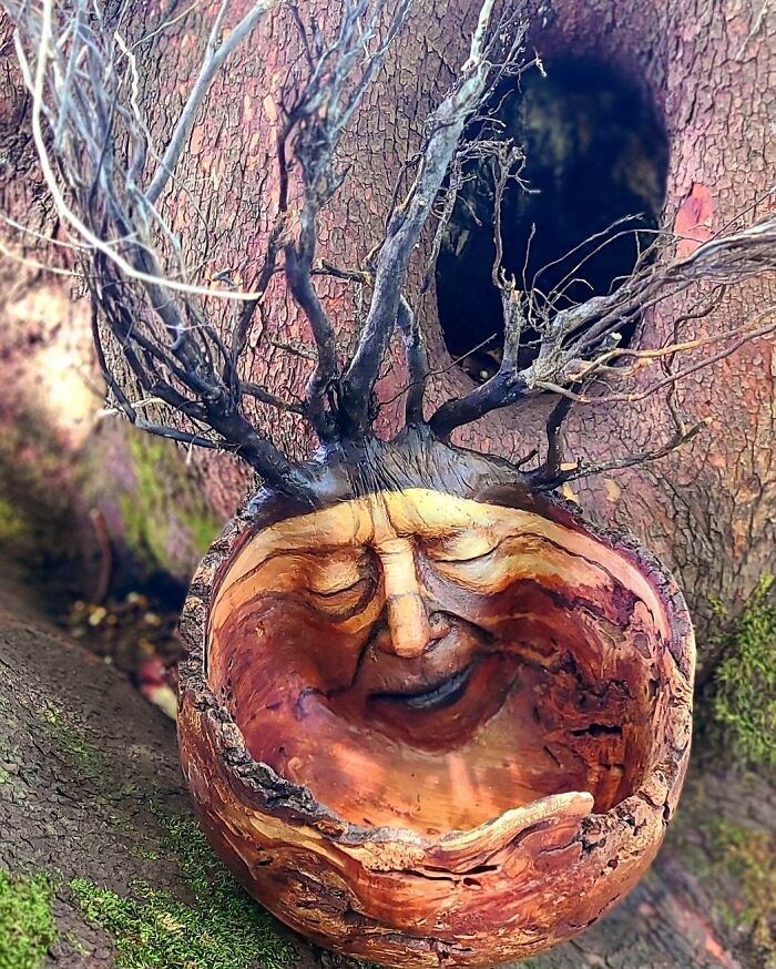 Esculturas feitas com madeira revelam rostos e emoções escondidos na própria natureza (29 fotos) 8