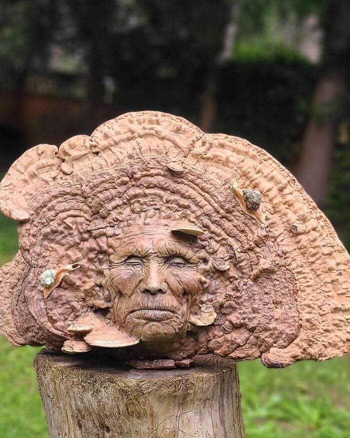 Esculturas feitas com madeira revelam rostos e emoções escondidos na própria natureza (29 fotos) 15