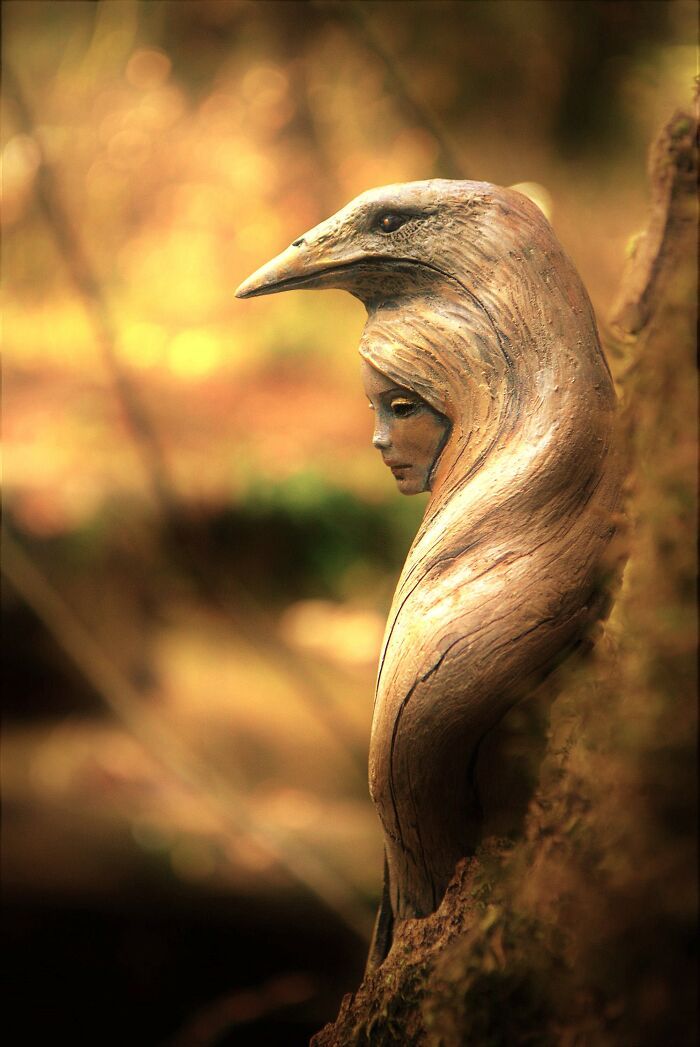 Esculturas feitas com madeira revelam rostos e emoções escondidos na própria natureza (29 fotos) 22
