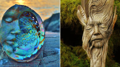 Esculturas feitas com madeira revelam rostos e emoções escondidos na própria natureza (29 fotos) 5