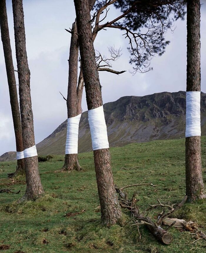 Falhas na realidade? 30 fotos intrigantes mostram cenas que parecem “bugs” na vida real 16