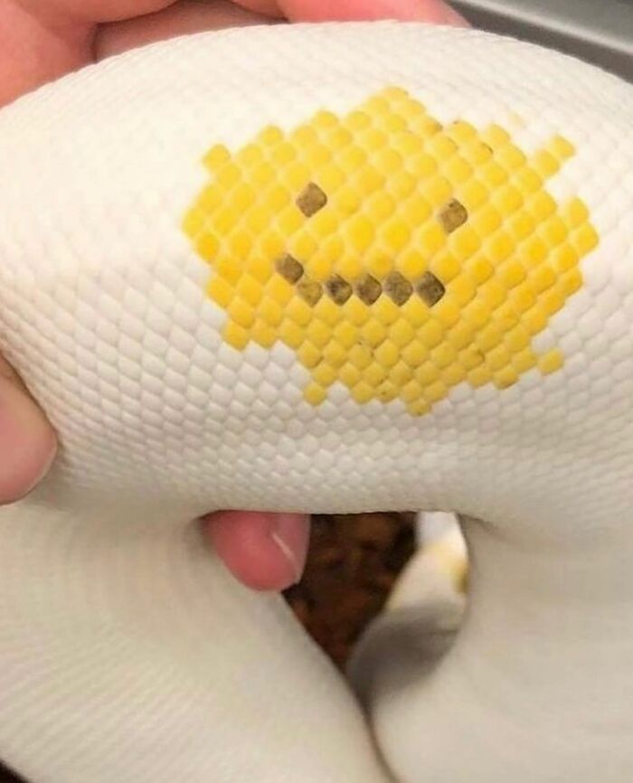 Falhas na realidade? 30 fotos intrigantes mostram cenas que parecem “bugs” na vida real 23