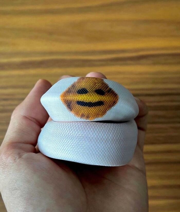 Falhas na realidade? 30 fotos intrigantes mostram cenas que parecem “bugs” na vida real 24