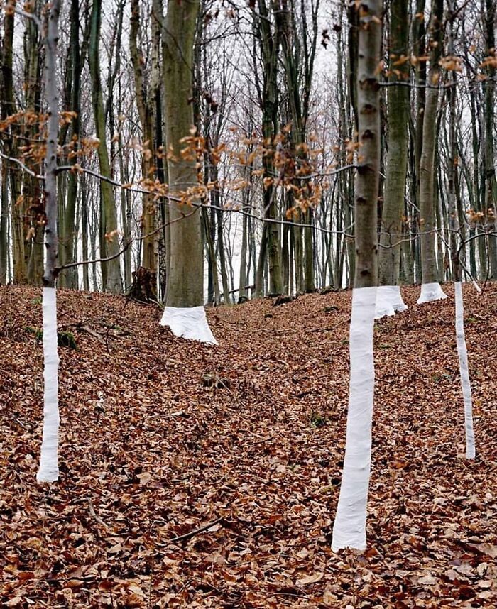 Falhas na realidade? 30 fotos intrigantes mostram cenas que parecem “bugs” na vida real 29