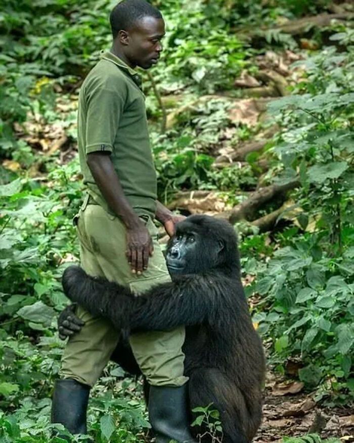 Fotografia de vida selvagem encanta com imagens que capturam momentos únicos da natureza (32 fotos) 12