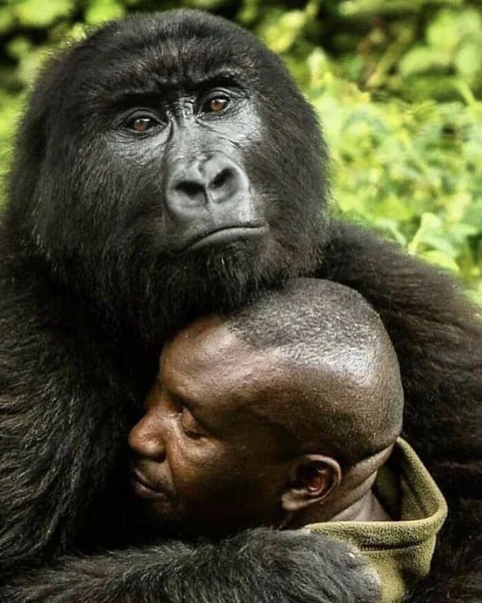 Fotografia de vida selvagem encanta com imagens que capturam momentos únicos da natureza (32 fotos) 17