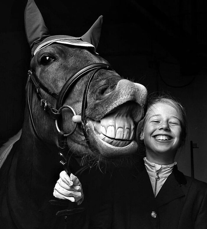 Fotografia de vida selvagem encanta com imagens que capturam momentos únicos da natureza (32 fotos) 20