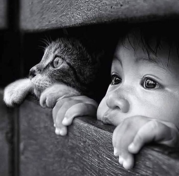 Fotos tiradas no momento perfeito revelam coincidências incríveis que parecem impossíveis (32 fotos) 3