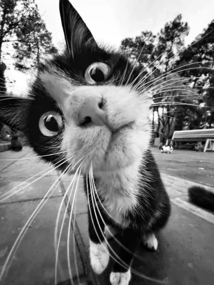 Fotos tiradas no momento perfeito revelam coincidências incríveis que parecem impossíveis (32 fotos) 6