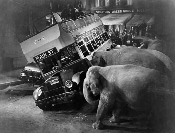 Fotos tiradas no momento perfeito revelam coincidências incríveis que parecem impossíveis (32 fotos) 8