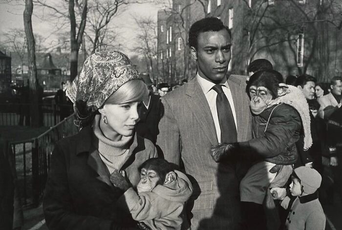 Fotos tiradas no momento perfeito revelam coincidências incríveis que parecem impossíveis (32 fotos) 17