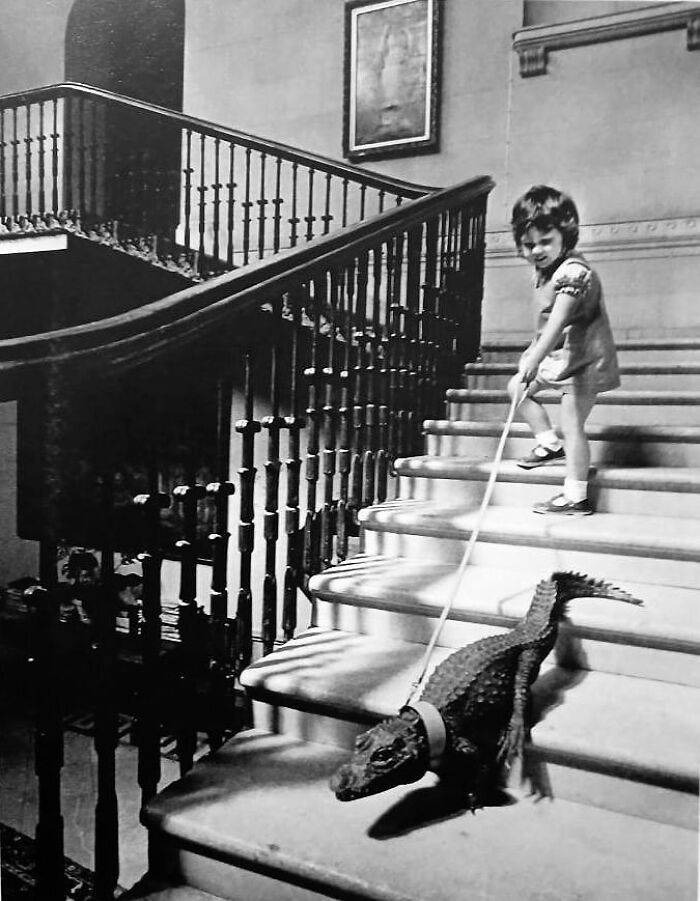 Fotos tiradas no momento perfeito revelam coincidências incríveis que parecem impossíveis (32 fotos) 25