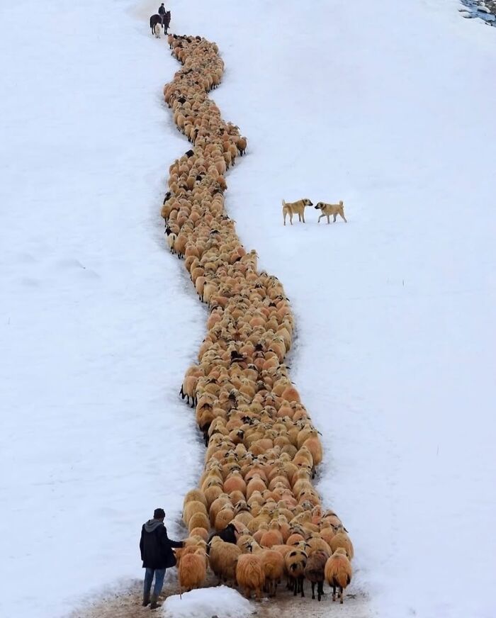 Fotos tiradas no momento perfeito revelam coincidências incríveis que parecem impossíveis (32 fotos) 26