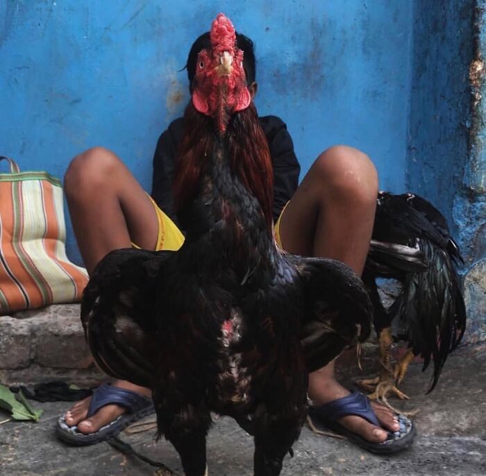 Fotos tiradas no momento perfeito revelam coincidências incríveis que parecem impossíveis (32 fotos) 28