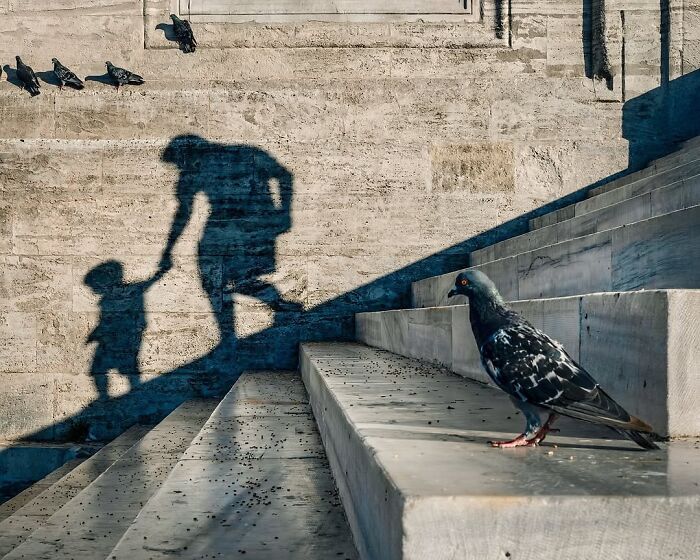 Fotos tiradas no momento perfeito revelam coincidências incríveis que parecem impossíveis (32 fotos) 31