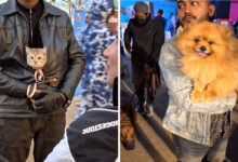 Paw Carnival em Bangladesh: O evento que celebra pets, cuidado e inclusão (16 fotos) 99