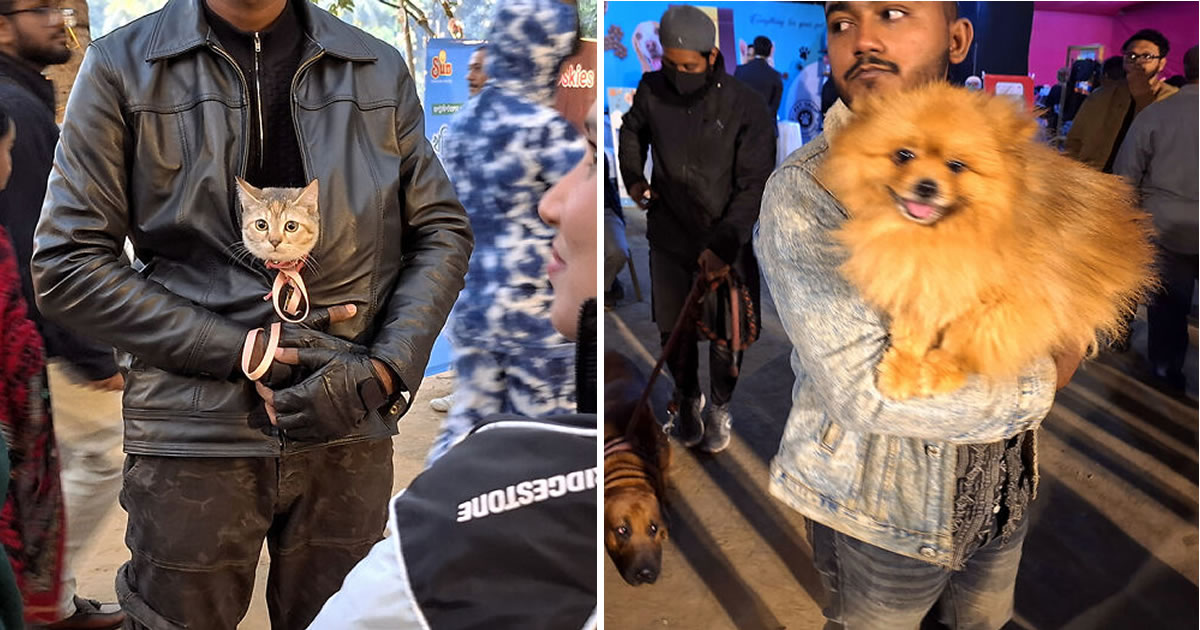 Paw Carnival em Bangladesh: O evento que celebra pets, cuidado e inclusão (16 fotos) 1 Paw Carnival em Bangladesh: O evento que celebra pets, cuidado e inclusão (16 fotos)