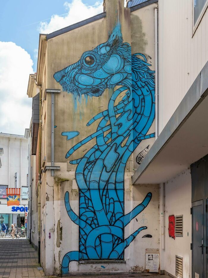 Street art pelo mundo: Perfil revela murais e grafites escondidos em cidades surpreendentes