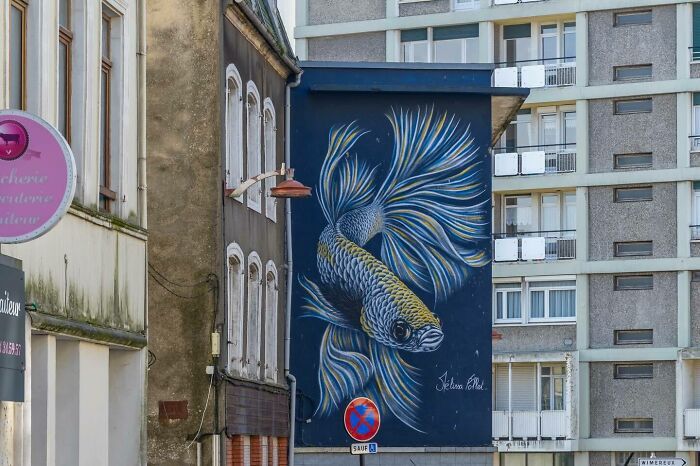 Street art pelo mundo: Perfil revela murais e grafites escondidos em cidades surpreendentes (32 fotos) 12