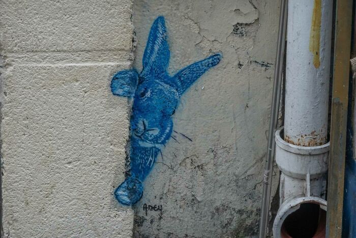 Street art pelo mundo: Perfil revela murais e grafites escondidos em cidades surpreendentes (32 fotos) 13