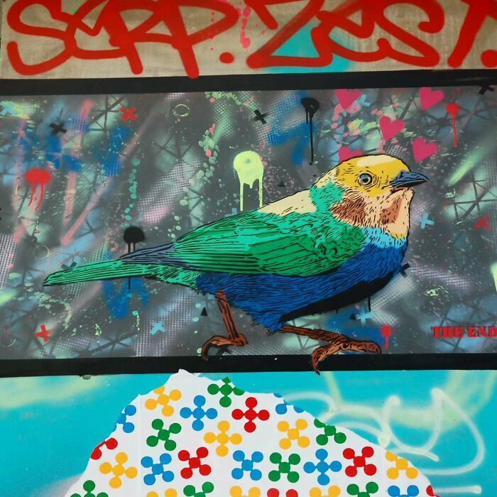 Street art urbana ganha significado profundo em projeto que vai além do visual (34 fotos) 1