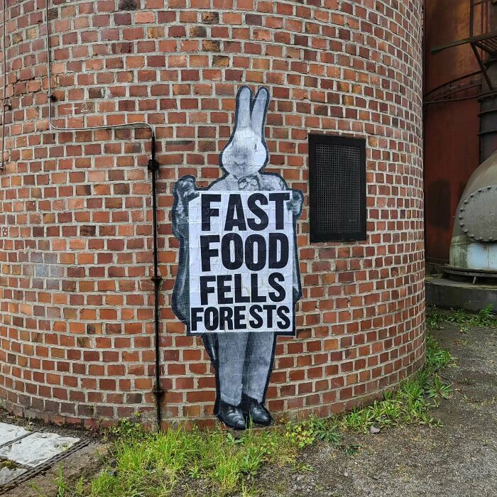 Street art urbana ganha significado profundo em projeto que vai além do visual (34 fotos) 3