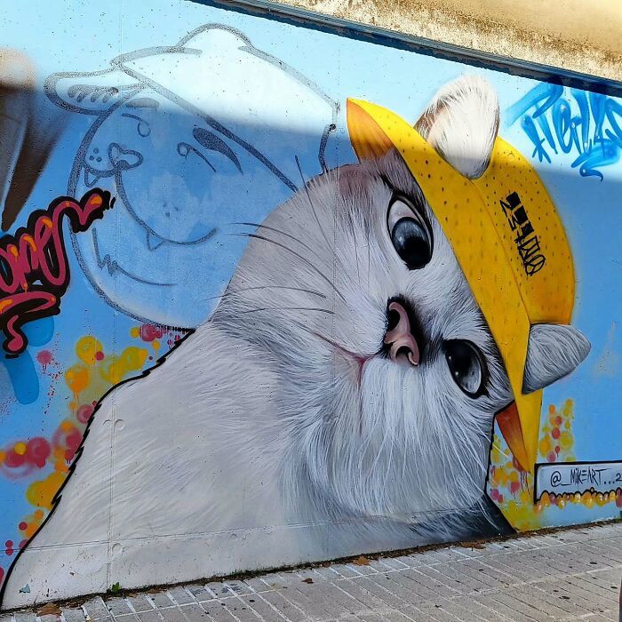 Street art urbana ganha significado profundo em projeto que vai além do visual (34 fotos) 31