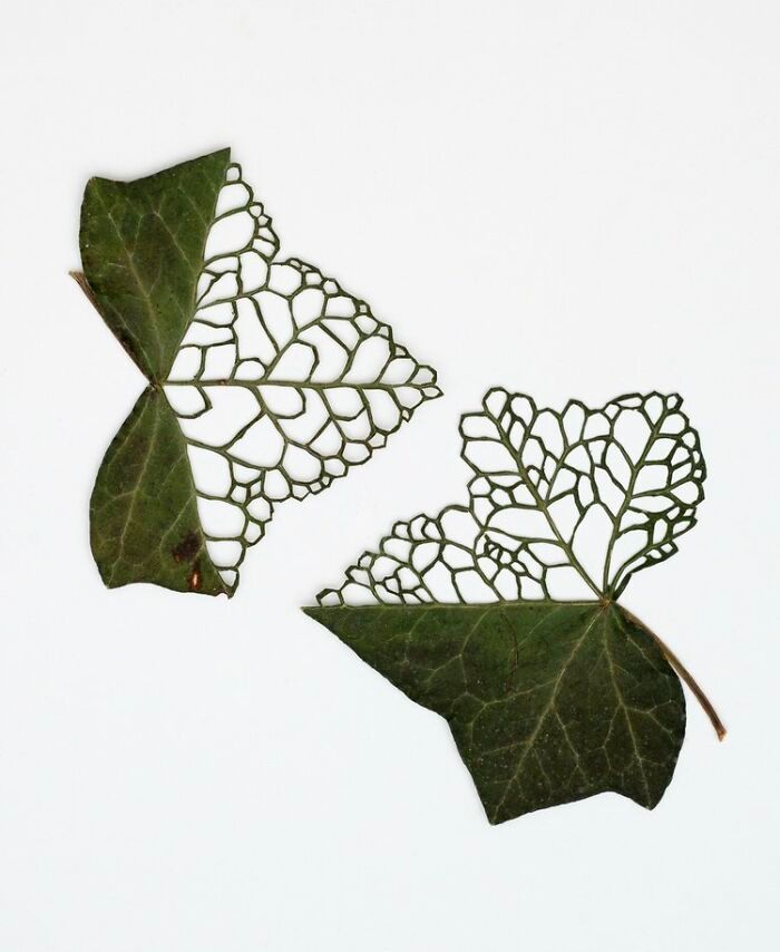 Arte com folhas naturais costuradas: o que essa artista faz parece impossível (30 fotos) 8