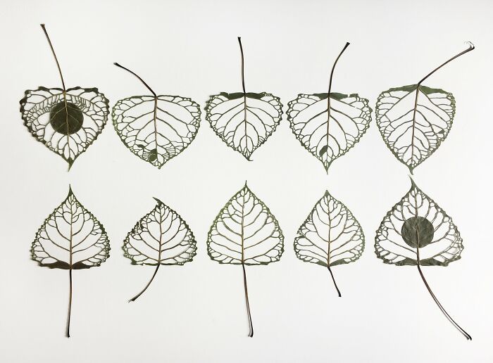 Arte com folhas naturais costuradas: o que essa artista faz parece impossível (30 fotos) 10