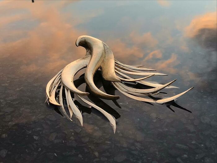 Esculturas em madeira que parecem vivas e escondem algo impossível de ignorar (30 fotos) 6