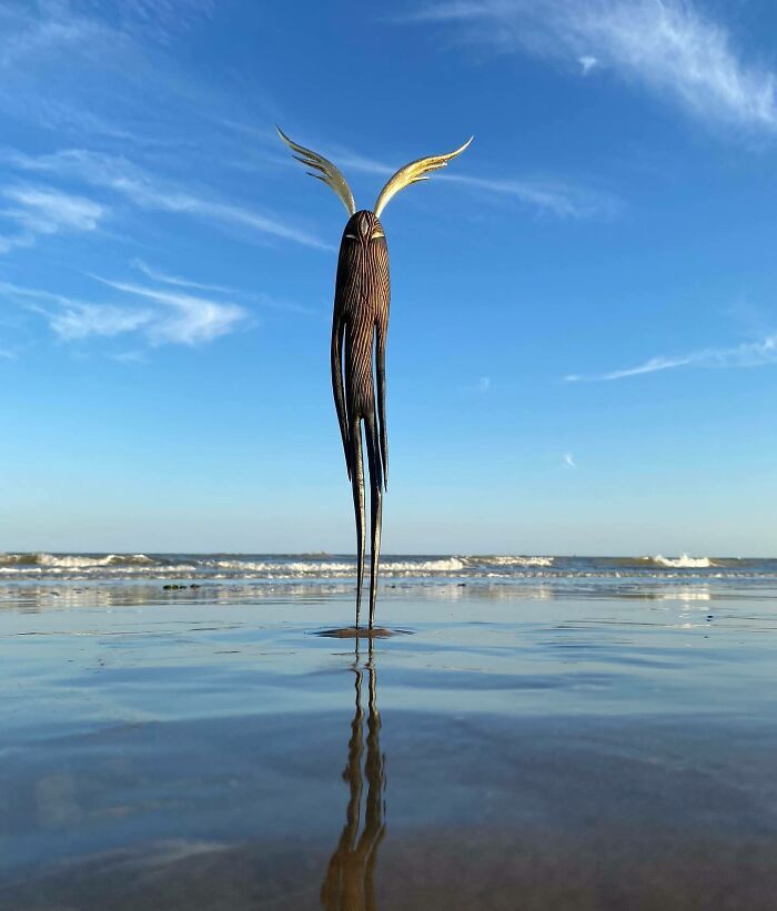 Esculturas em madeira que parecem vivas e escondem algo impossível de ignorar (30 fotos) 8