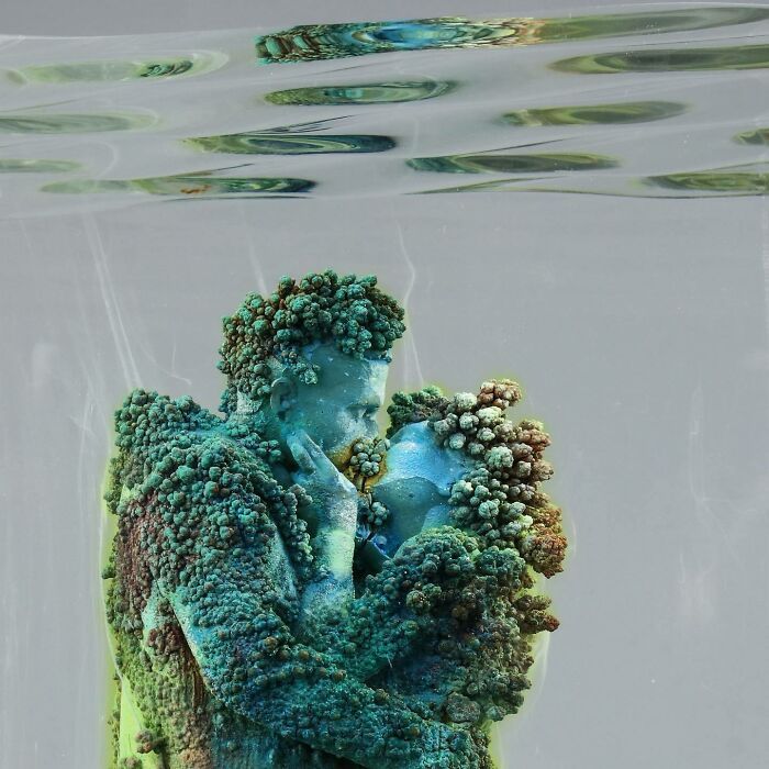 Esculturas subaquáticas que viraram recifes vivos e estão mudando o oceano (32 fotos) 16