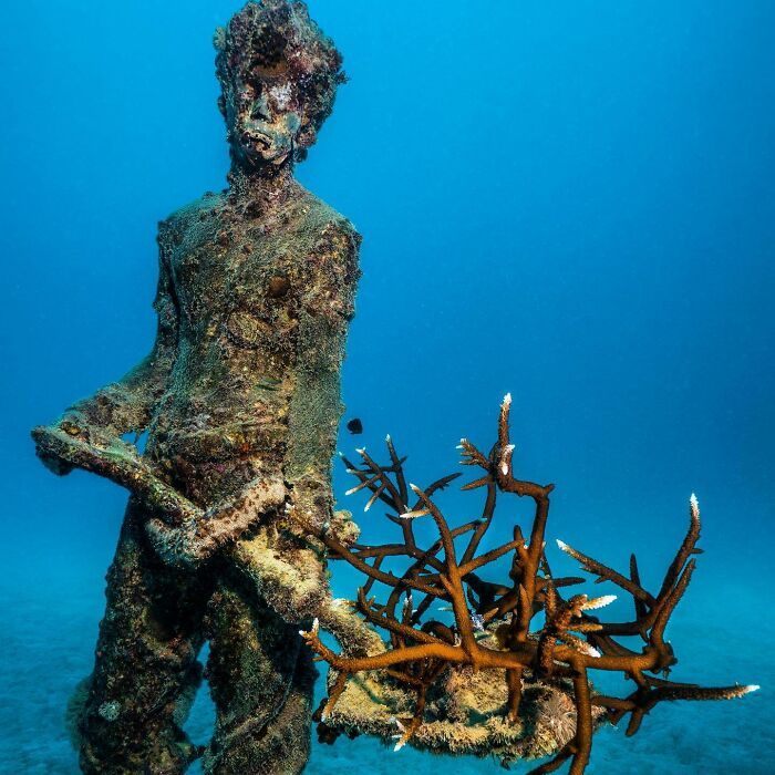 Esculturas subaquáticas que viraram recifes vivos e estão mudando o oceano (32 fotos) 21