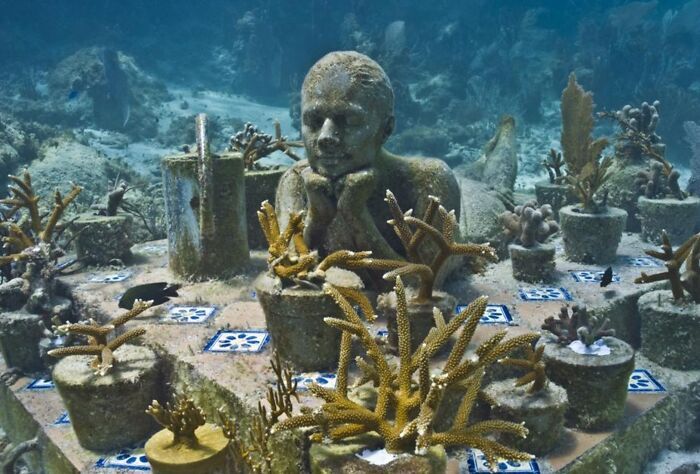 Esculturas subaquáticas que viraram recifes vivos e estão mudando o oceano (32 fotos) 25