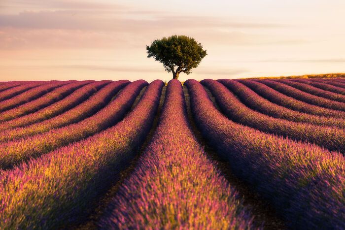 Fotografia de paisagens cinematográficas: 32 imagens reais que parecem cenas de filme 22