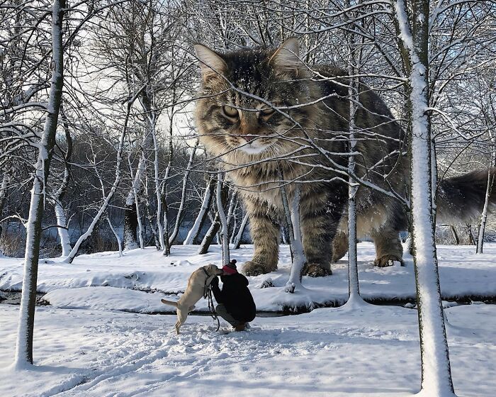 Gatos gigantes realistas estão dominando imagens e confundindo todo mundo (26 fotos) 3
