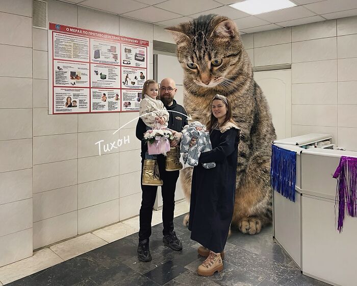 Gatos gigantes realistas estão dominando imagens e confundindo todo mundo (26 fotos) 10