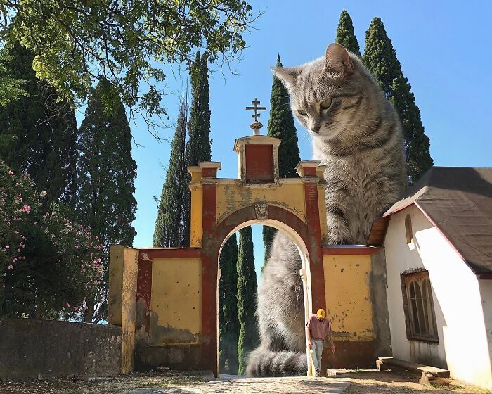 Gatos gigantes realistas estão dominando imagens e confundindo todo mundo (26 fotos) 11