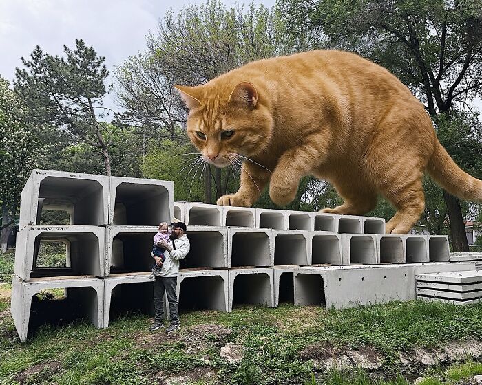 Gatos gigantes realistas estão dominando imagens e confundindo todo mundo (26 fotos) 22