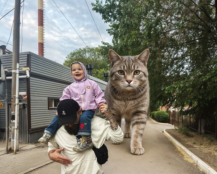 Gatos gigantes realistas estão dominando imagens e confundindo todo mundo (26 fotos) 23