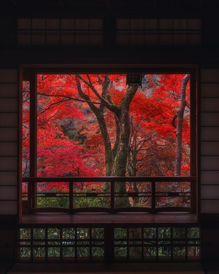 As fotografias do Japão que parecem cenas de um filme e deixaram a internet sem acreditar (32 fotos) 4 As fotografias do Japão que parecem cenas de um filme e deixaram a internet sem acreditar (32 fotos) 4