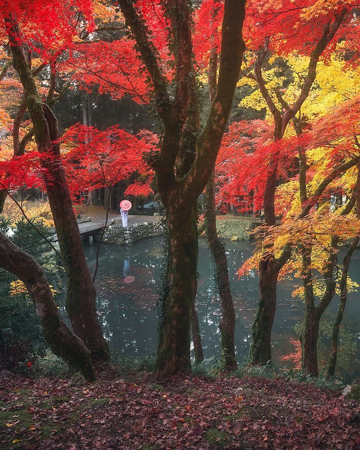 As fotografias do Japão que parecem cenas de um filme e deixaram a internet sem acreditar (32 fotos) 5 As fotografias do Japão que parecem cenas de um filme e deixaram a internet sem acreditar (32 fotos) 5