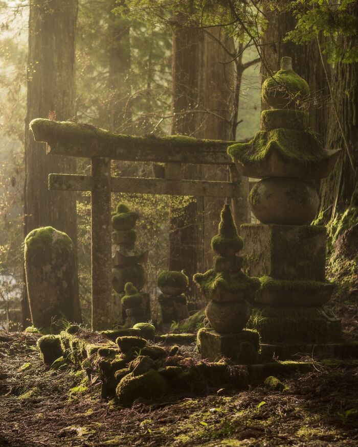 As fotografias do Japão que parecem cenas de um filme e deixaram a internet sem acreditar (32 fotos) 15 As fotografias do Japão que parecem cenas de um filme e deixaram a internet sem acreditar (32 fotos) 15