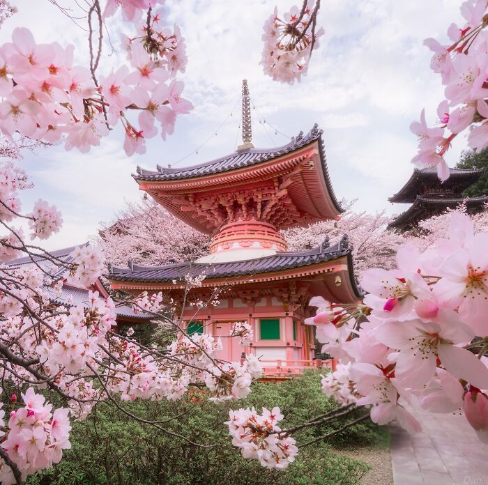 As fotografias do Japão que parecem cenas de um filme e deixaram a internet sem acreditar (32 fotos) 20 As fotografias do Japão que parecem cenas de um filme e deixaram a internet sem acreditar (32 fotos) 20