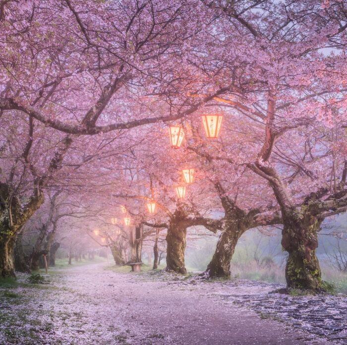 As fotografias do Japão que parecem cenas de um filme e deixaram a internet sem acreditar (32 fotos) 24 As fotografias do Japão que parecem cenas de um filme e deixaram a internet sem acreditar (32 fotos) 24