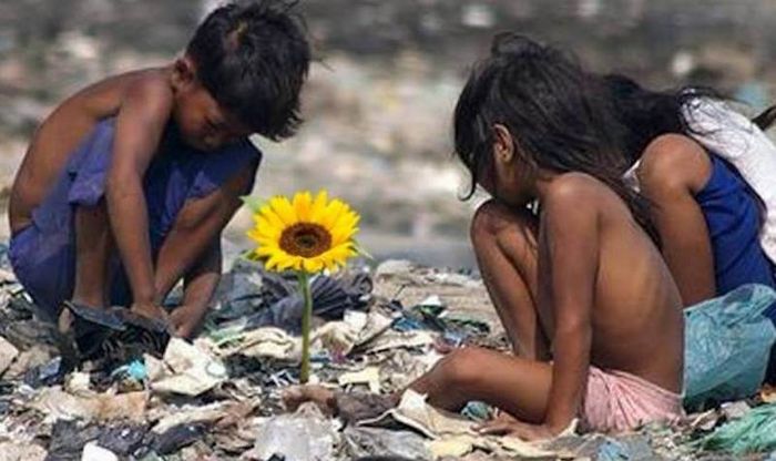 Ilha das Flores. O curta brasileiro que destrói sua mente em poucos minutos
