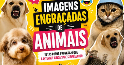 Estas imagens engraçadas de animais provaram que a internet ainda sabe surpreender (34 fotos)