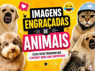 Estas imagens engraçadas de animais provaram que a internet ainda sabe surpreender (34 fotos)