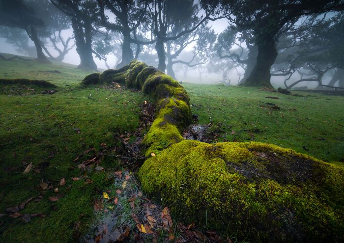 Fotografias impressionantes da natureza que parecem cenas de outro planeta (32 fotos) 3 Fotografias impressionantes da natureza que parecem cenas de outro planeta (32 fotos) 3